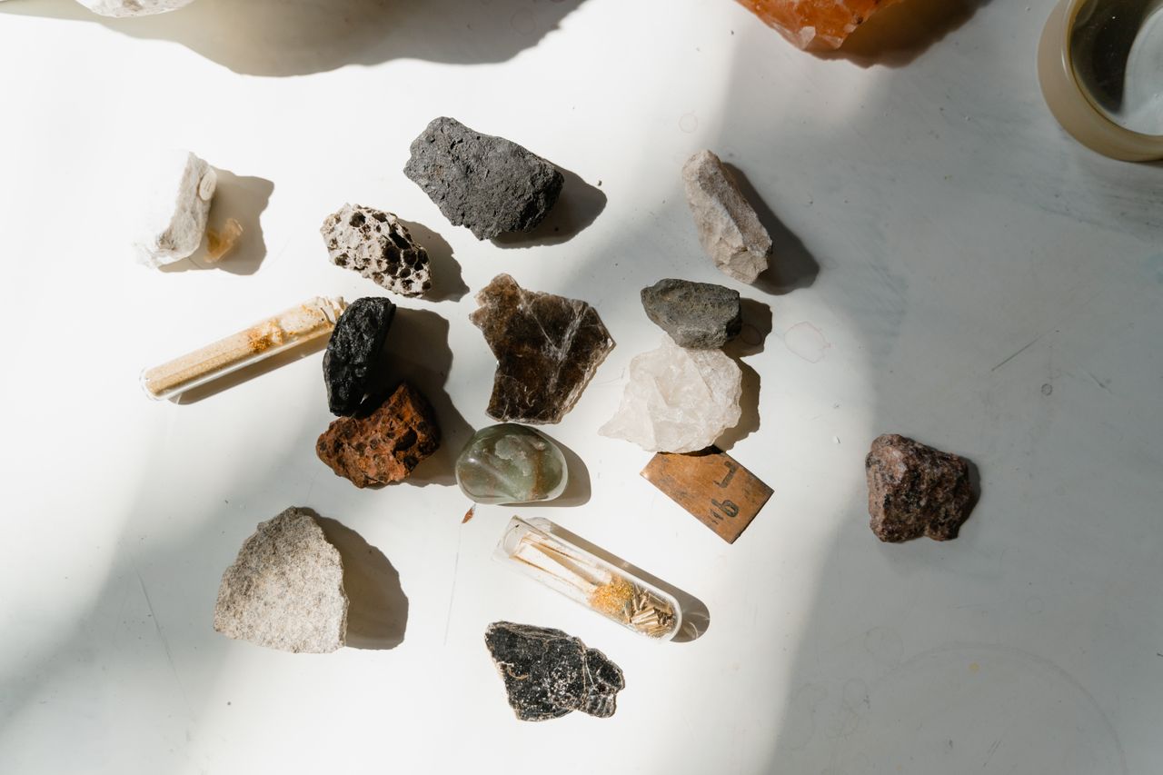 Rock and mineral specimens laid out in sorted trays