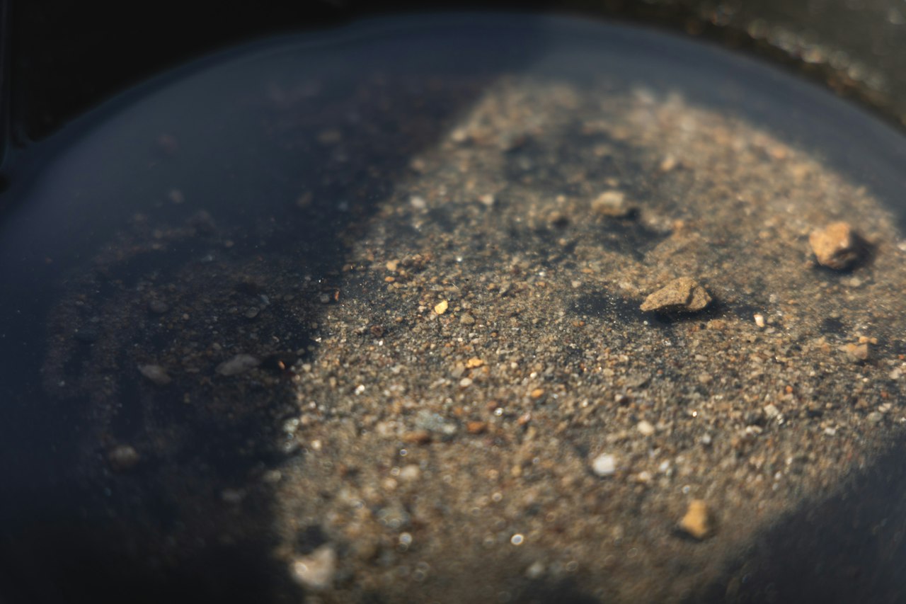 A panning sieve holding wet gravel at the edge of a river