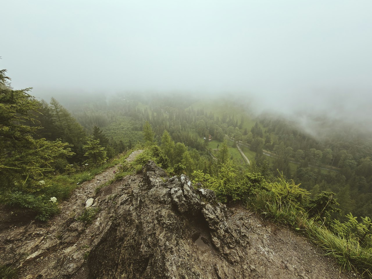 A narrow trail disappearing into mountain fog