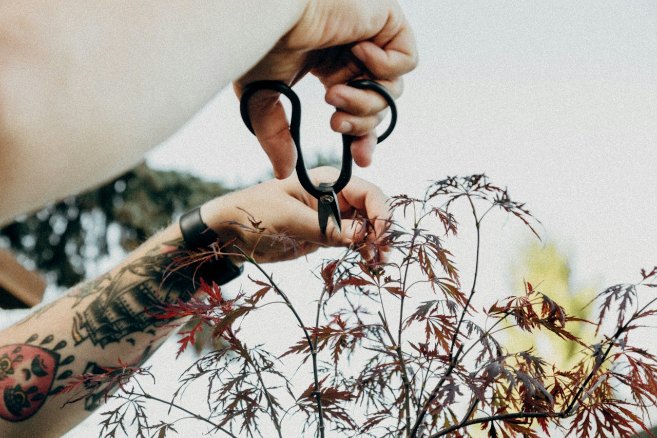 Secateurs cutting through a branch in a garden