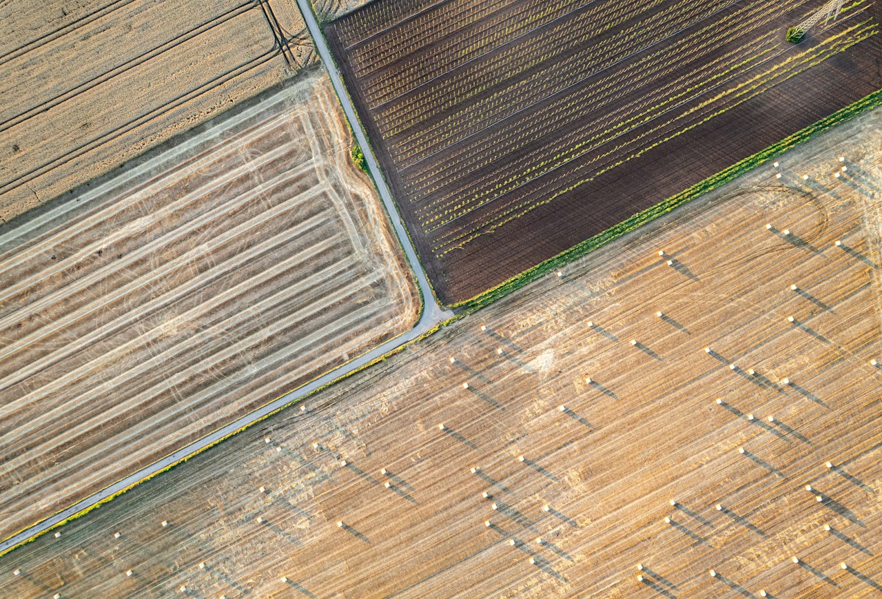 Farmland seen from above, divided into geometric fields