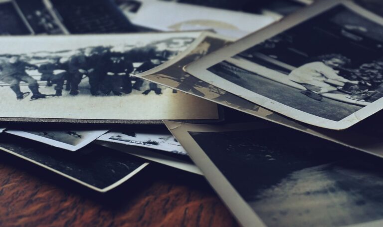 A calendar of archived page snapshots