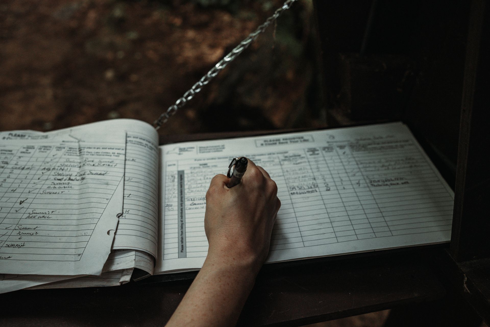 Crawl log entries