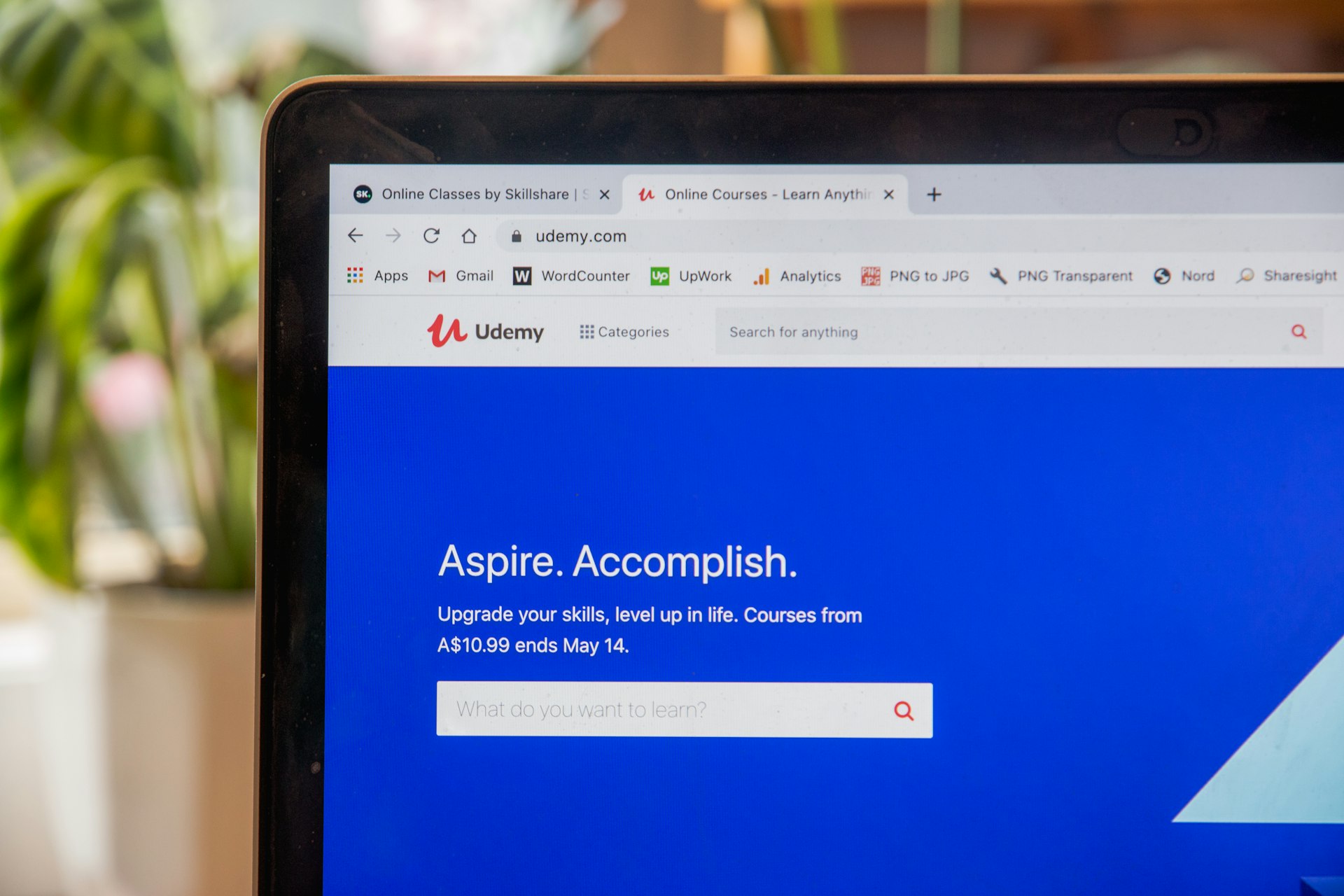 An appeal form on a screen