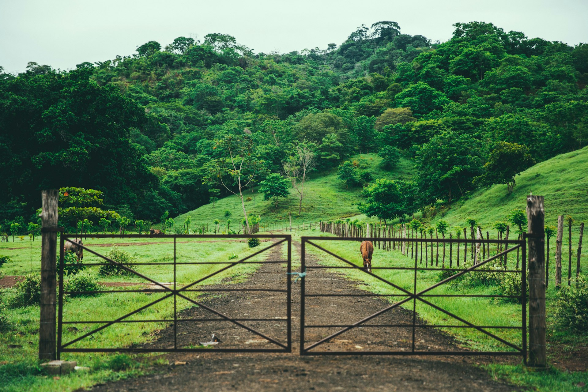 A gate partly open