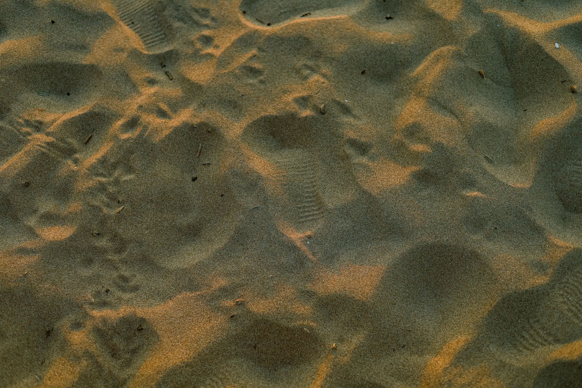 Footprints in sand