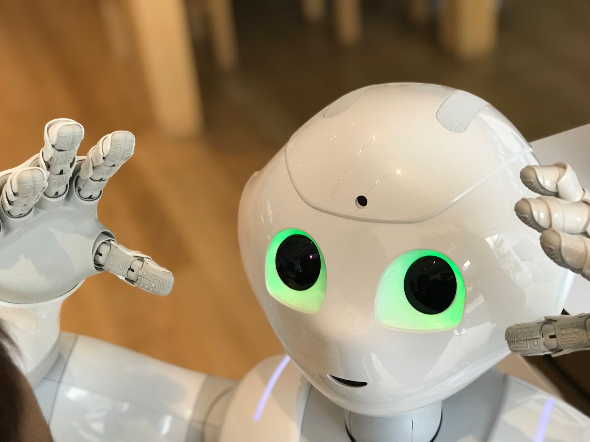 A robots file testing tool