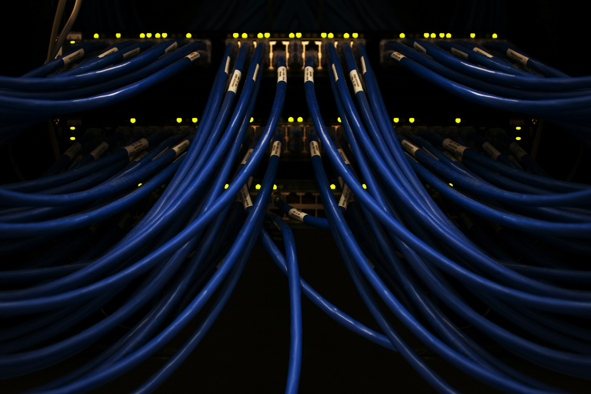 Network cables close-up