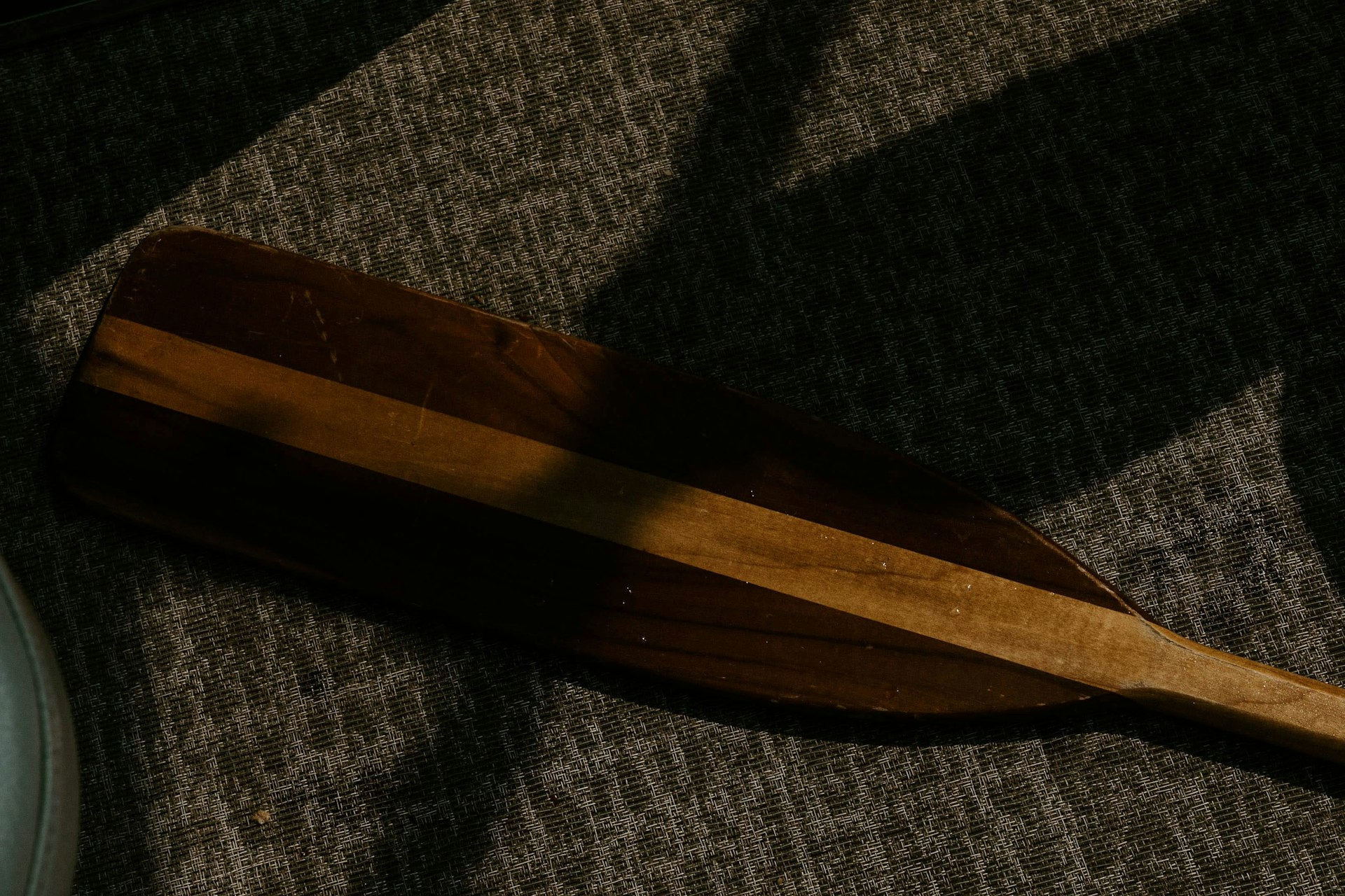 An auction paddle raised