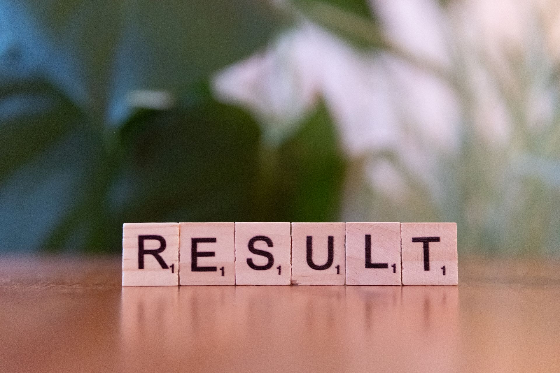 Plain search results without extras
