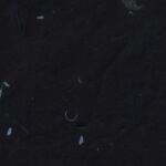 A gemstone on a dark surface