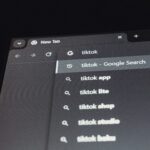 A search result with links beneath it