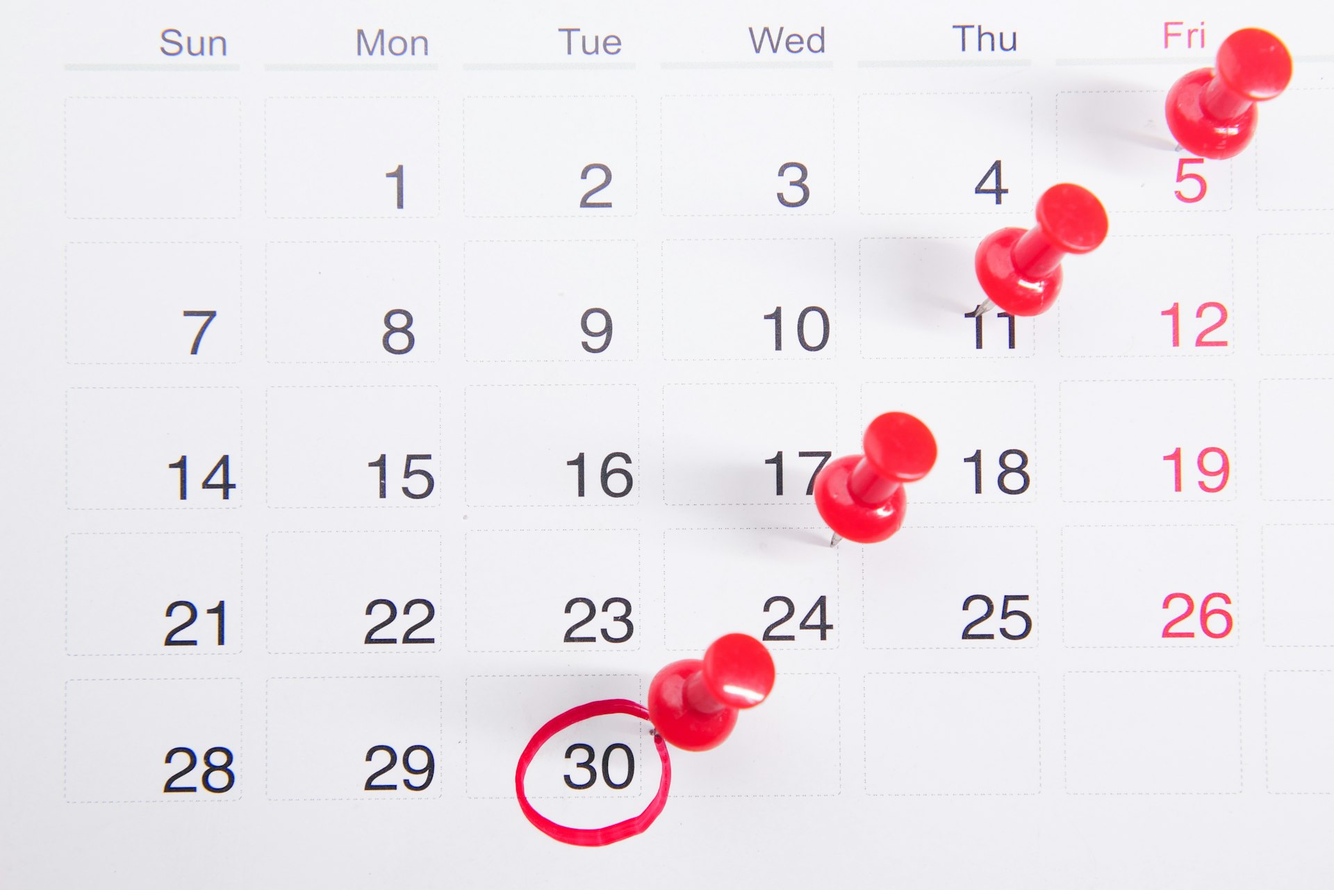 A calendar with update dates marked