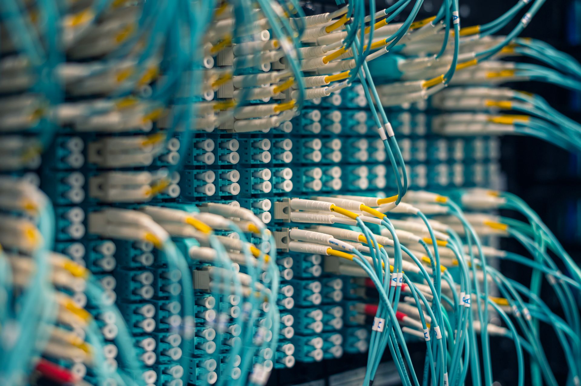 Network cables connected to a switch