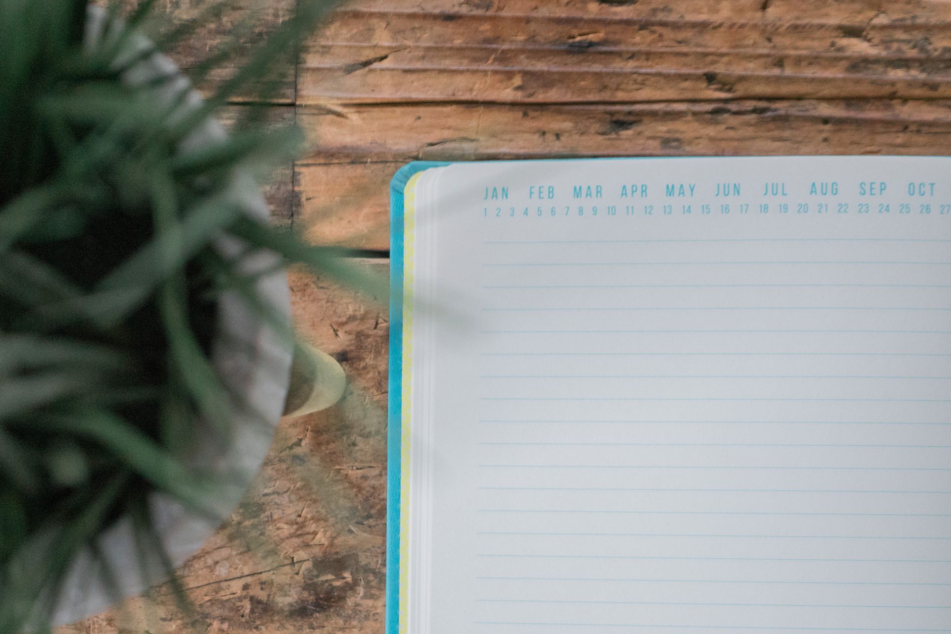 Monthly check-up notes in a notebook