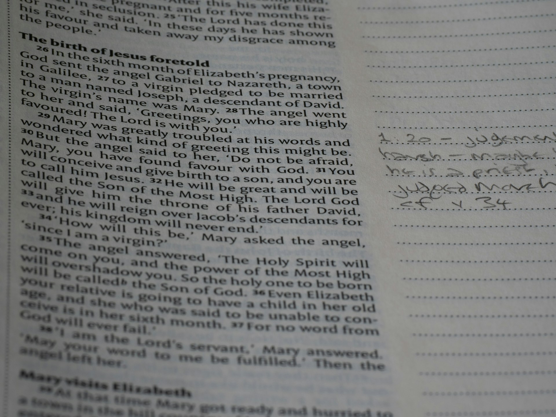 A paragraph stuffed with repeated words