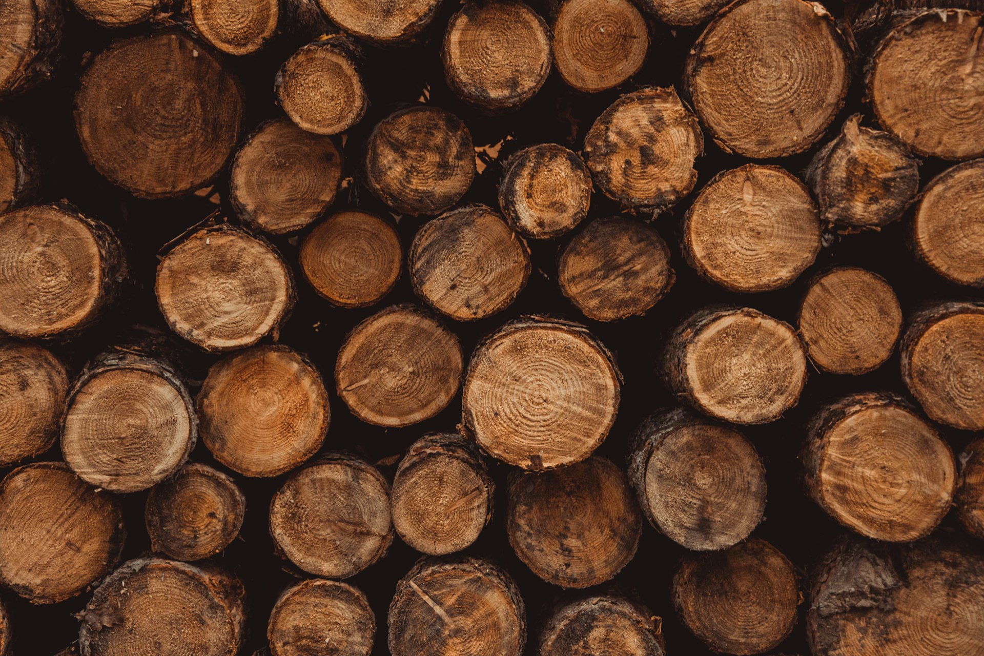 Orphan URLs found in logs
