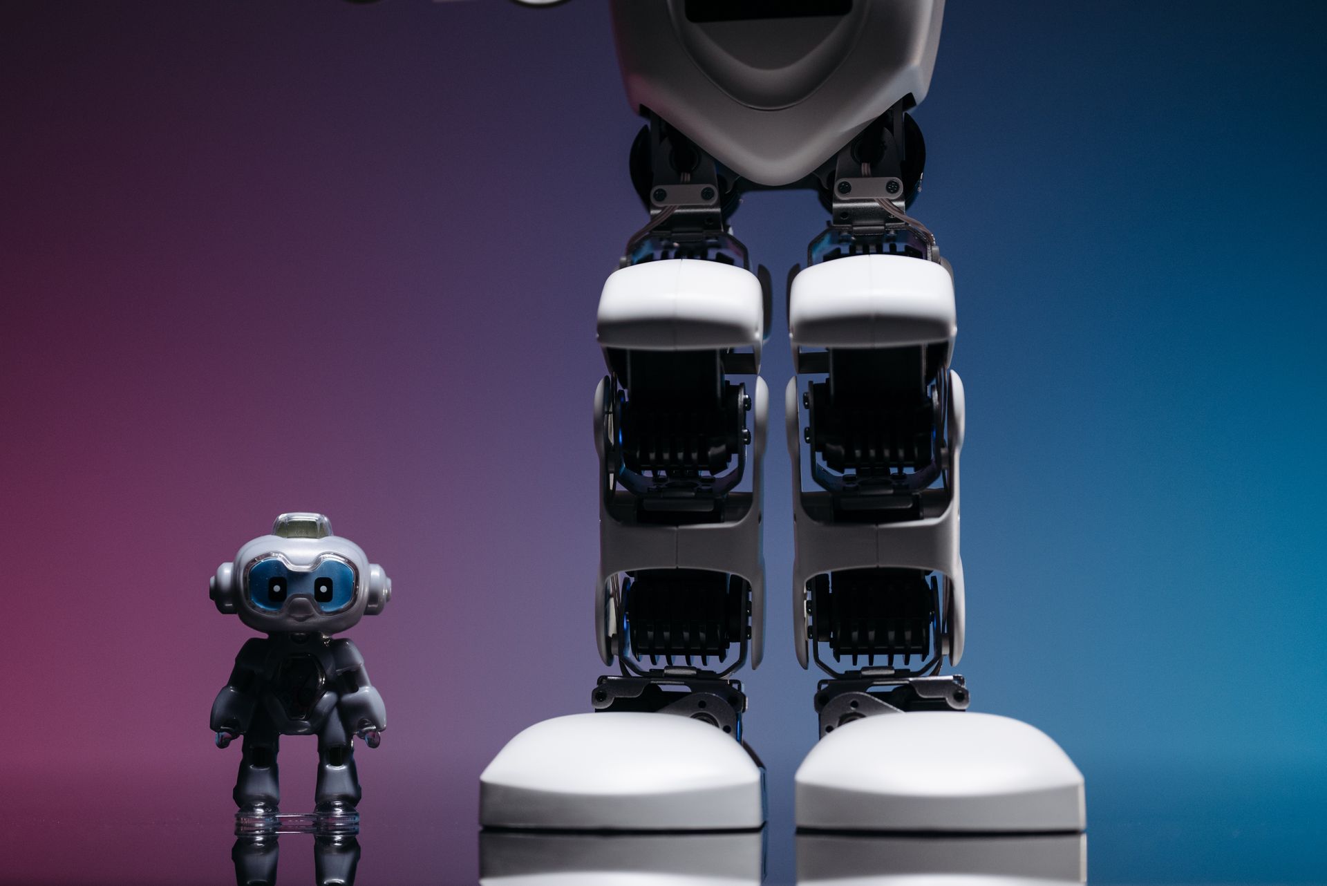 A robots file beside a meta tag