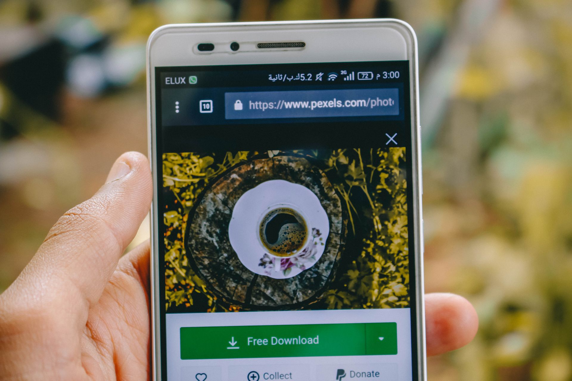 A URL inspection showing a smartphone crawler