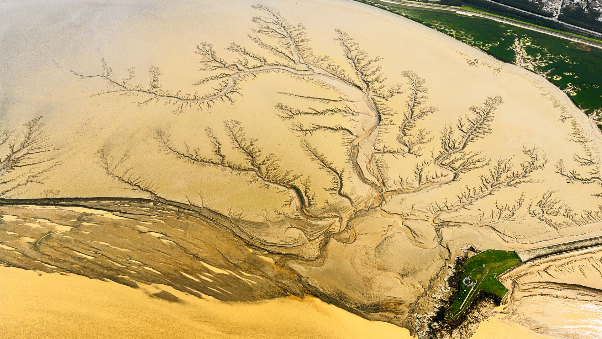 A river delta from above