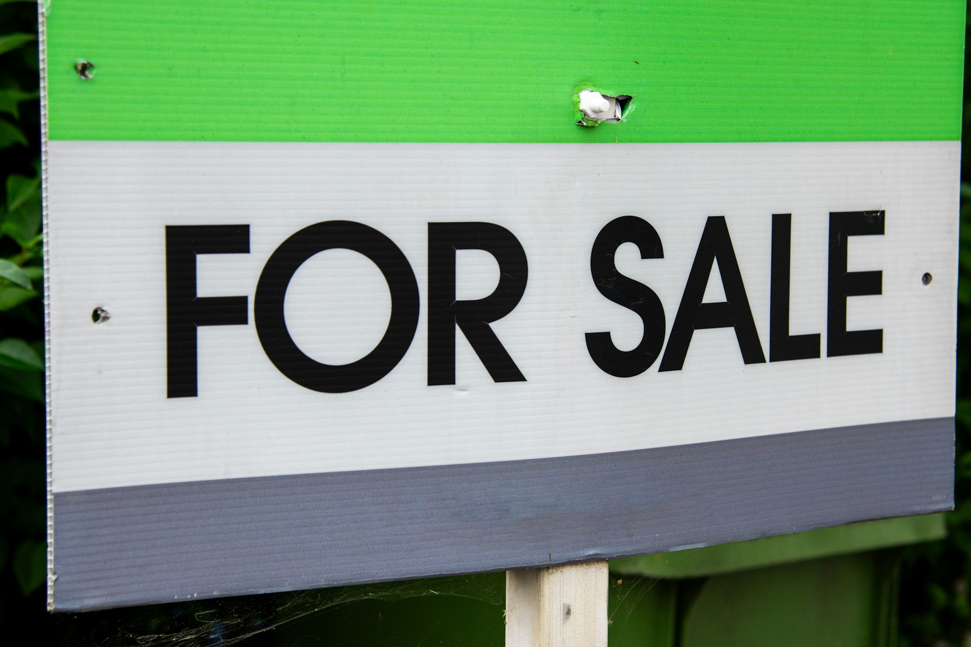 An expired domain auction list