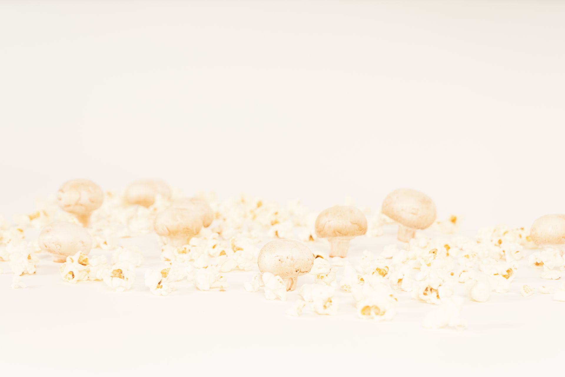 Ingredients laid out on a counter