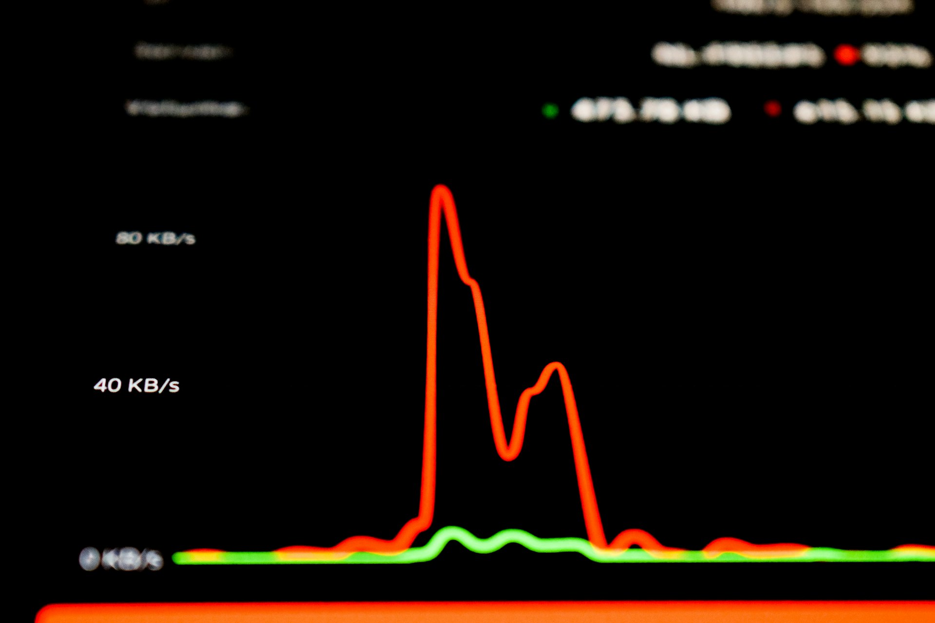 An uptime monitor alert