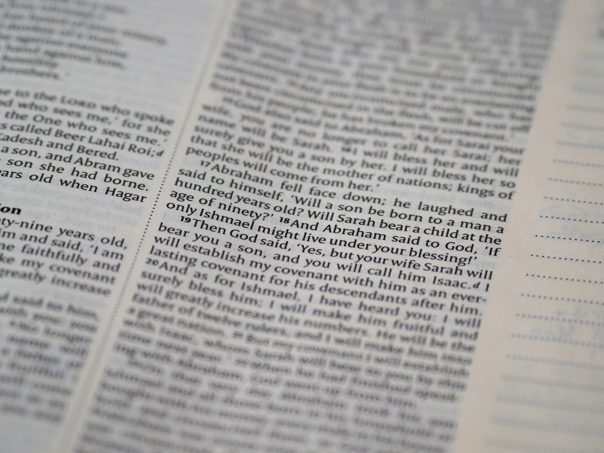 An article heading on a page